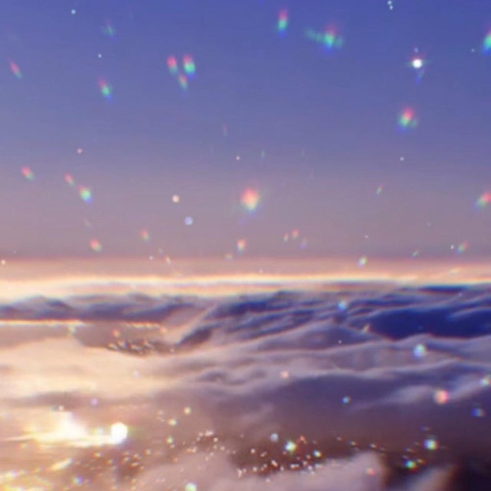 Meet your Posher, Noelle